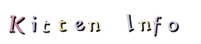 Kitten   Info