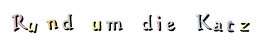 Rund   um   die   Katz