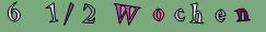 6  1/2 Wochen