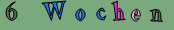 6  Wochen